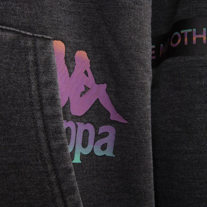 Poleron 2225 Men Hoodie Zip Grey