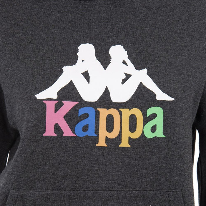 Poleron Hoddie Logo Multicolor