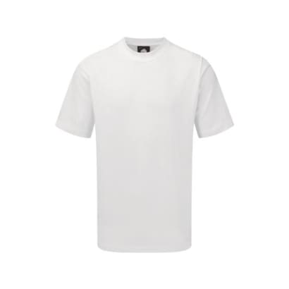White / 2XL
