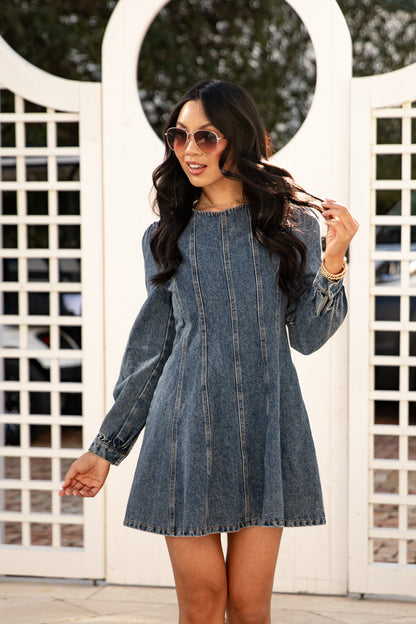 Blue Jean Beauty Denim Mini Dress