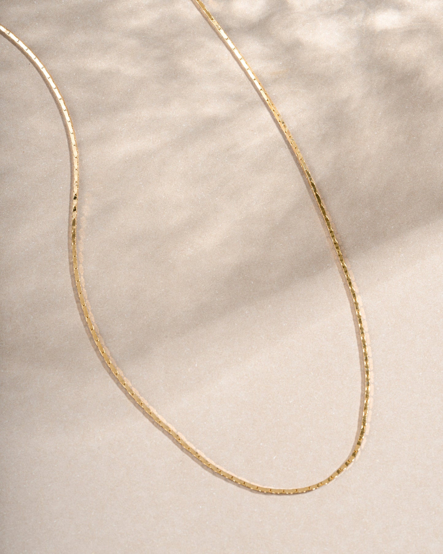 Thin Chain Necklace